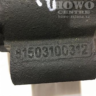Кронштейн поворотного кулака 81.50310.0312/DZ9112440092